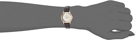 Seiko Dress Watch (Model: SXDG98)