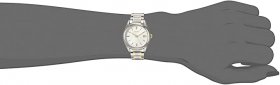 Seiko Women's Essentials Stainless Steel Japanese Quartz Two Tone Strap, Silver/Gold, 0 Casual Watch (Model: SUR320)