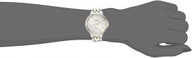 Seiko Dress Watch (Model: SUP394)