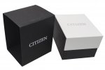 Citizen Men's Dive Style Quartz Black Strap Watch BI1043-01E
