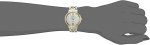 Seiko Pulsar Women's Japanese-Quartz Watch with Stainless-Steel Strap, Two Tone, 14 (Model: PY5024)