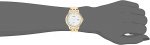 Seiko Women's Ladies Dress Japanese-Quartz Watch with Stainless-Steel Strap, Gold, 11.9 (Model: SUT350)