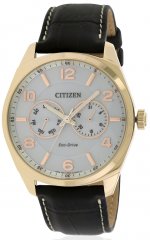 Citizen Men's Eco-Drive Gold-Tone Leather Watch, AO9023-01A